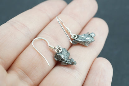 Meteorite Sterling Silver Drop Earrings