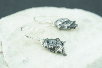Meteorite Sterling Silver Medium Drop Earrings