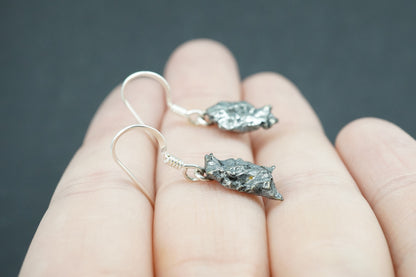 Meteorite Sterling Silver Medium Drop Earrings