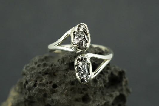 Meteorite Sterling Silver Two Stone Medium Ring
