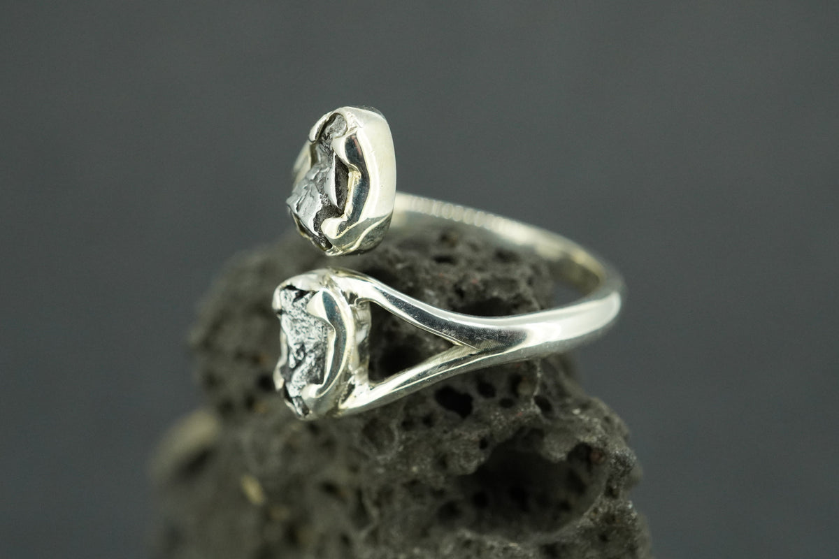 Meteorite Sterling Silver Two Stone Medium Ring