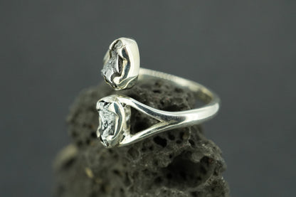 Meteorite Sterling Silver Two Stone Medium Ring