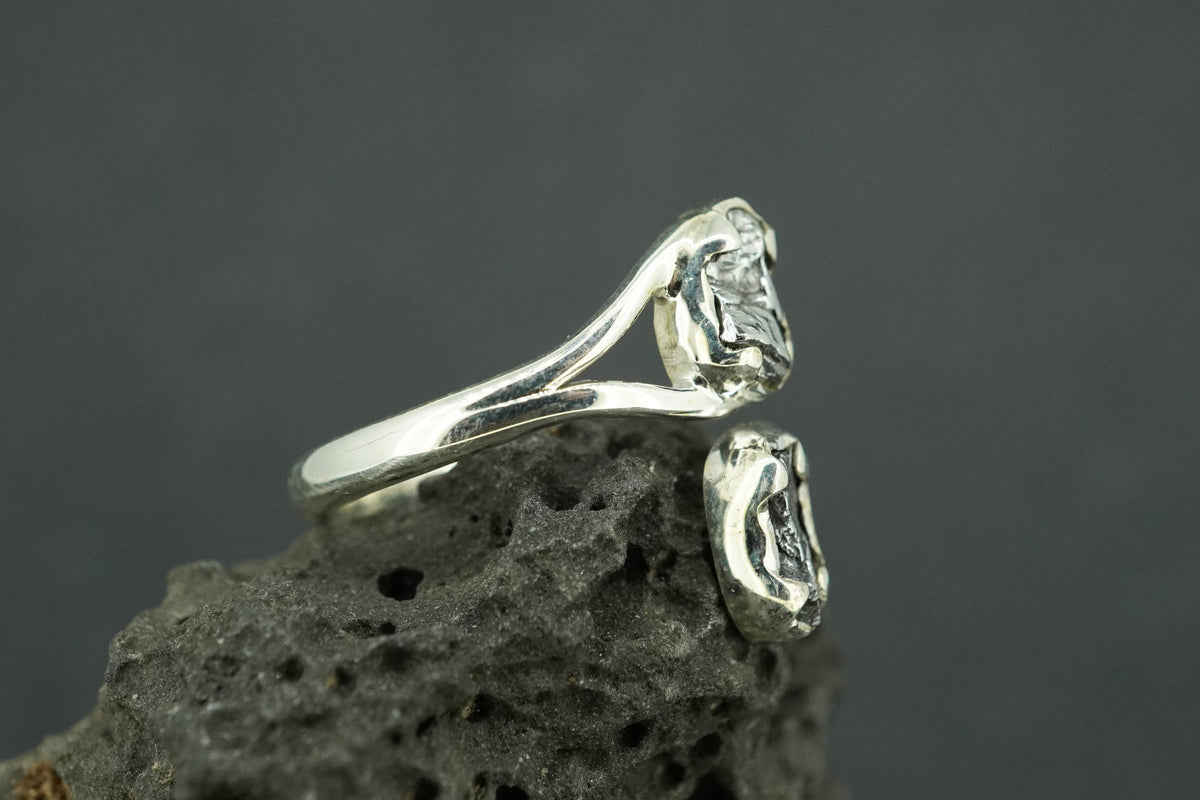 Meteorite Sterling Silver Two Stone Medium Ring