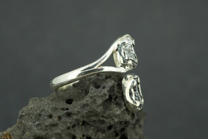 Meteorite Sterling Silver Two Stone Medium Ring