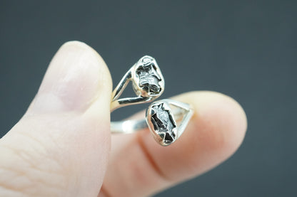 Meteorite Sterling Silver Two Stone Medium Ring