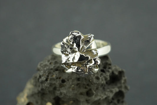 Meteorite Sterling Silver Medium Ring