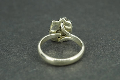 Meteorite Sterling Silver Medium Ring