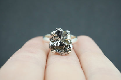 Meteorite Sterling Silver Medium Ring