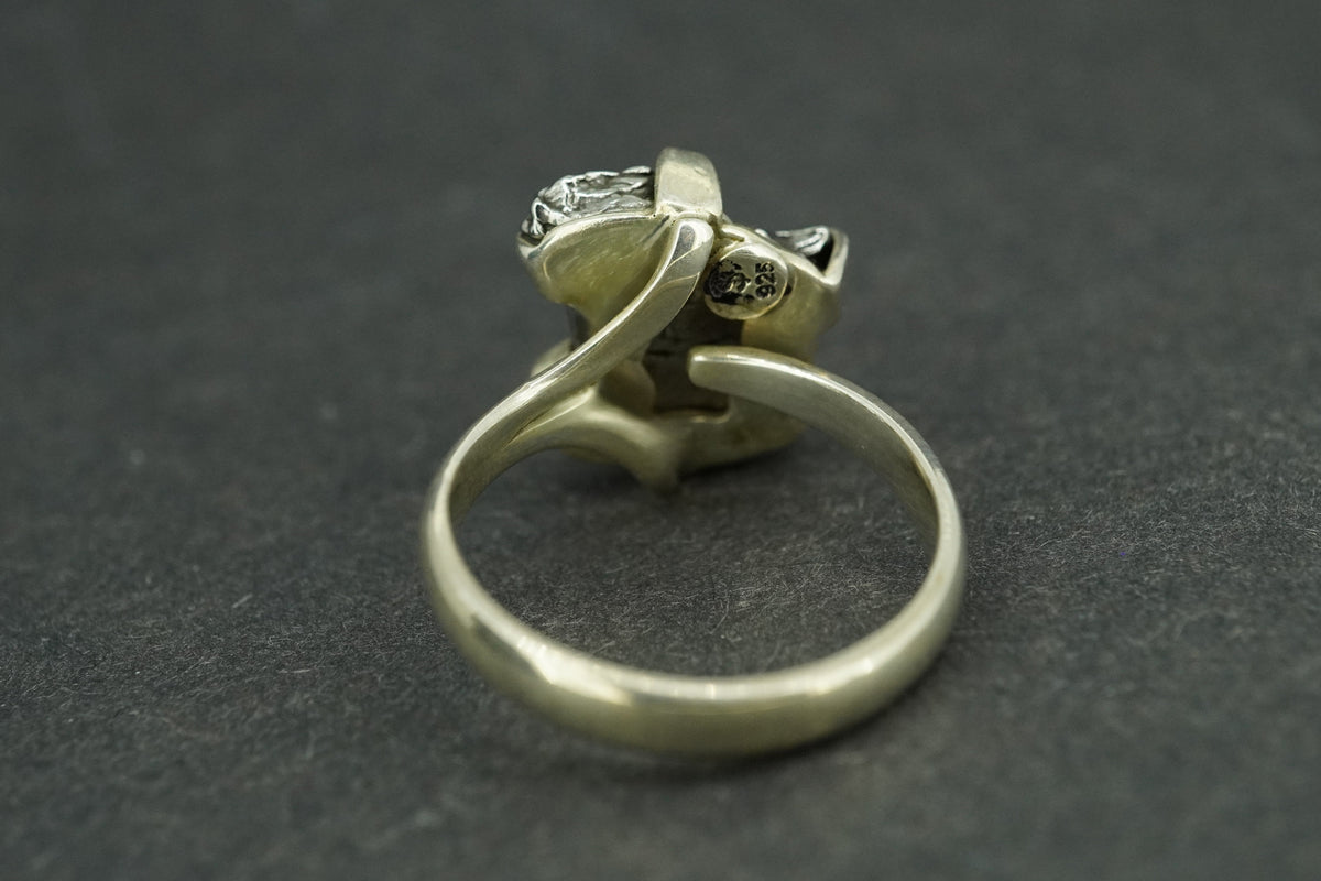 Meteorite Sterling Silver Large Ring