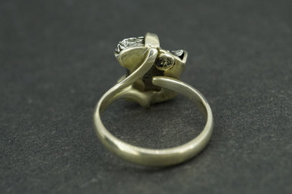 Meteorite Sterling Silver Large Ring