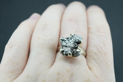 Meteorite Sterling Silver Large Ring