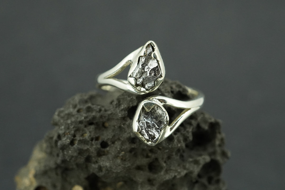Meteorite Sterling Silver Two Stone Ring