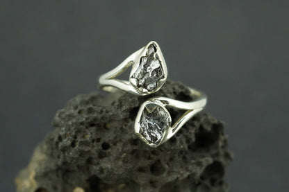 Meteorite Sterling Silver Two Stone Ring