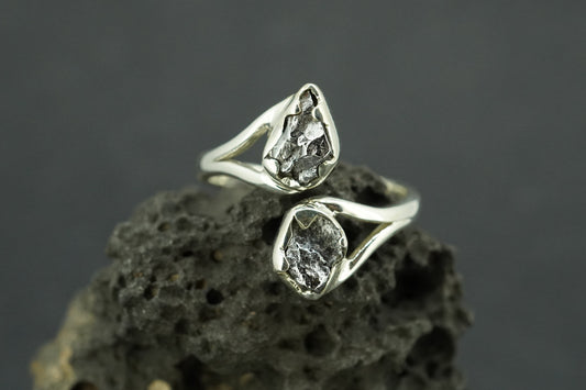 Meteorite Sterling Silver Two Stone Ring