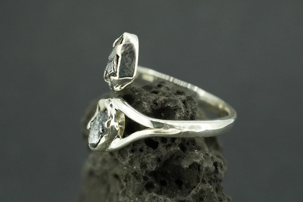 Meteorite Sterling Silver Two Stone Ring