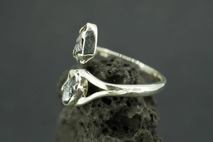 Meteorite Sterling Silver Two Stone Ring