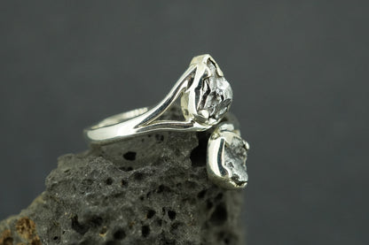 Meteorite Sterling Silver Two Stone Ring