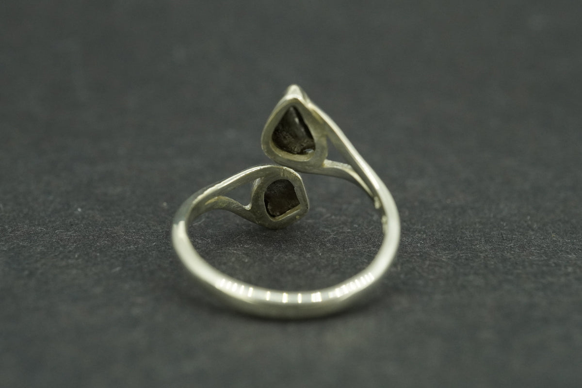 Meteorite Sterling Silver Two Stone Ring