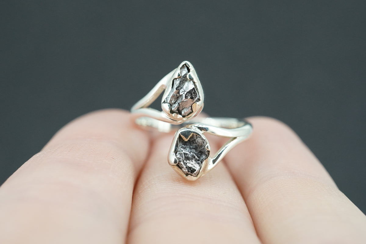 Meteorite Sterling Silver Two Stone Ring