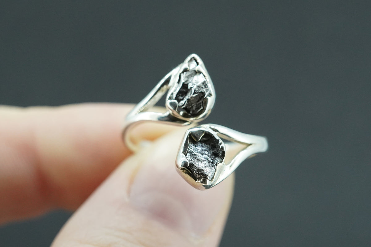 Meteorite Sterling Silver Two Stone Ring