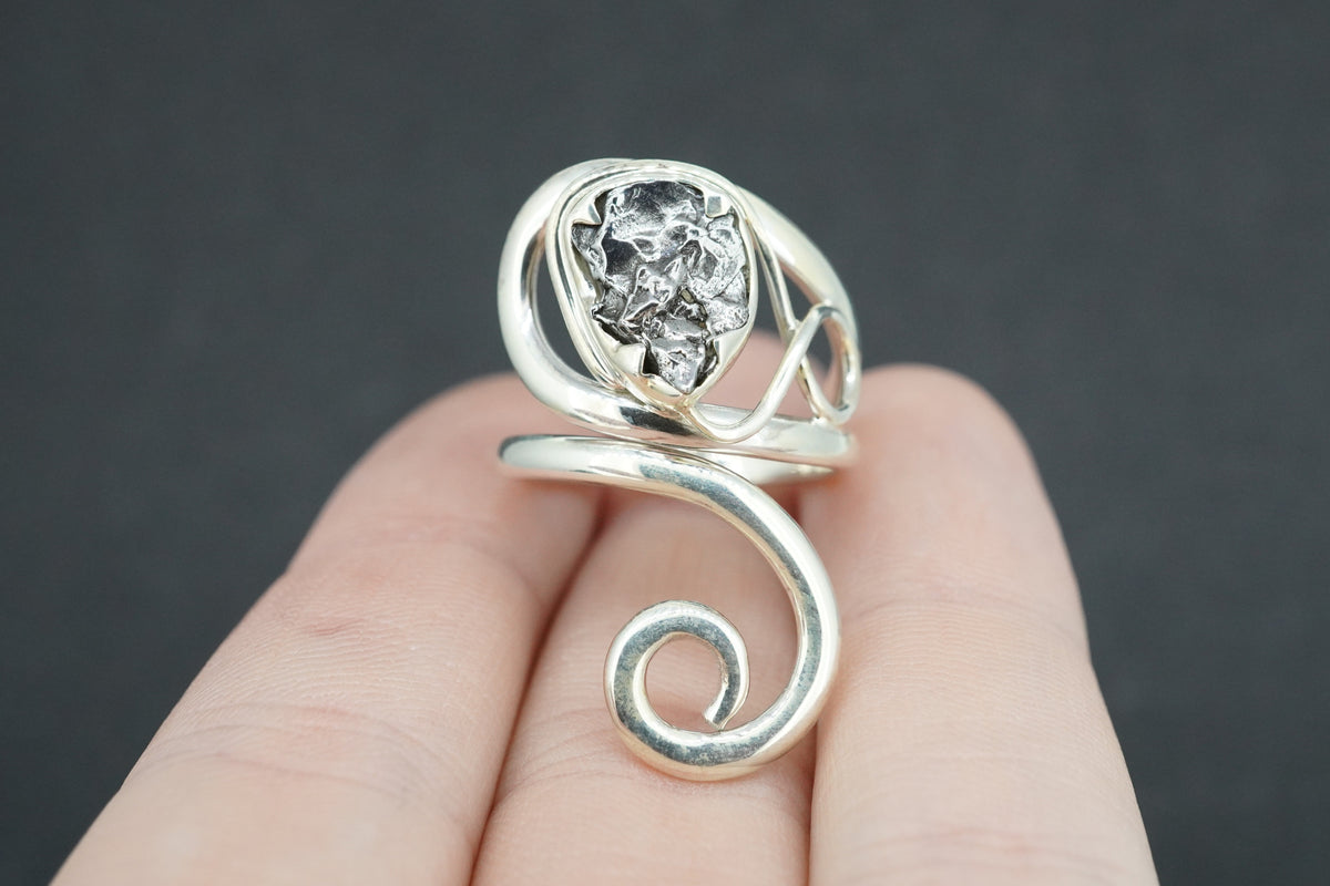 Meteorite Sterling Silver Swirl Ring