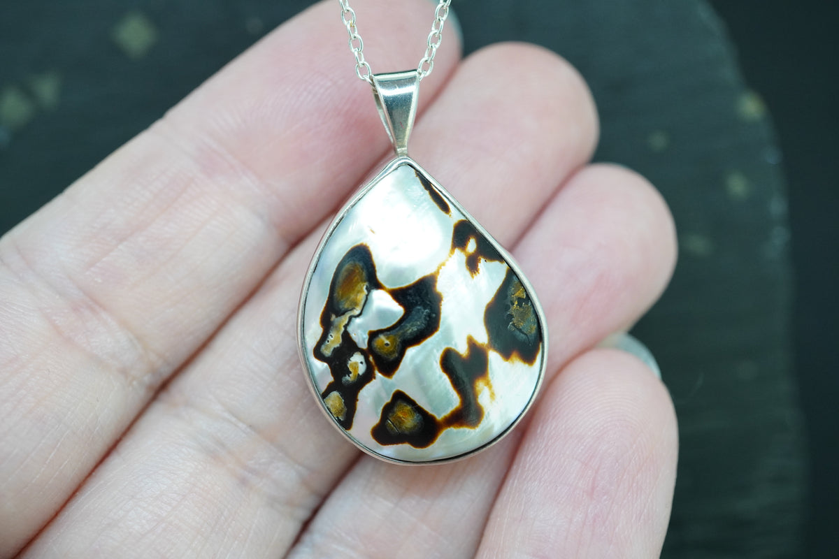Brown Turbo Shell Sterling Silver Pendant
