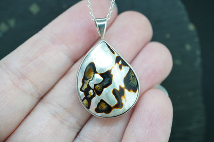 Brown Turbo Shell Sterling Silver Drop Pendant