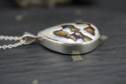 Brown Turbo Shell Sterling Silver Pendant