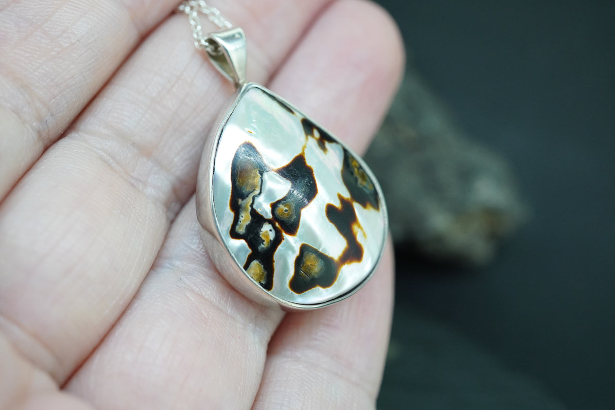 Brown Turbo Shell Sterling Silver Pendant