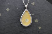 White Turbo Shell Sterling Silver Pendant