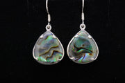 Paua Shell Earrings