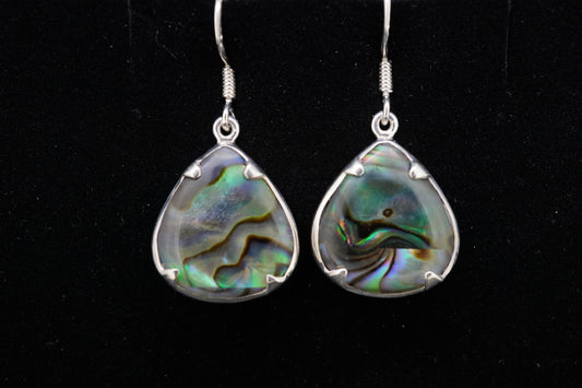 Paua Shell Earrings