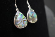 Paua Shell Earrings