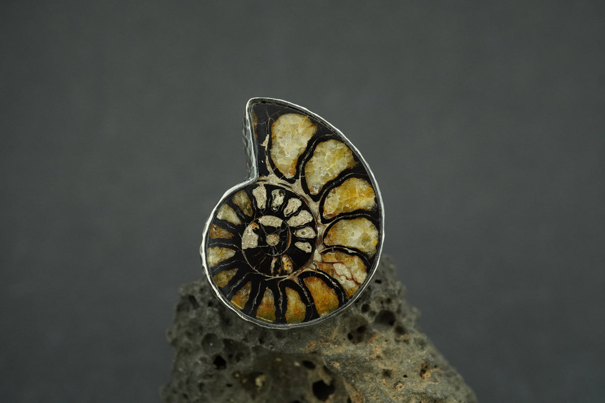 Haematite Ammonite Sterling Silver Ring