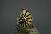 Haematite Ammonite Sterling Silver Ring
