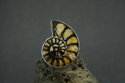 Haematite Ammonite Sterling Silver Ring