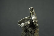 Haematite Ammonite Sterling Silver Ring