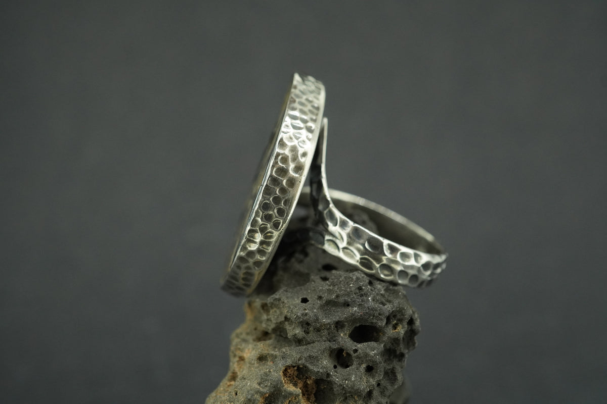 Haematite Ammonite Sterling Silver Ring