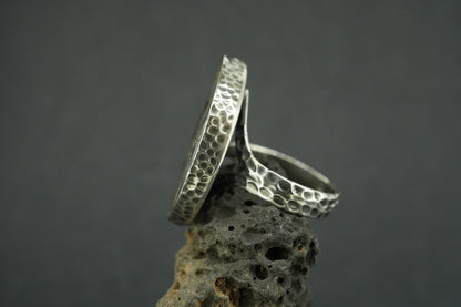 Haematite Ammonite Sterling Silver Ring