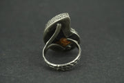 Haematite Ammonite Sterling Silver Ring