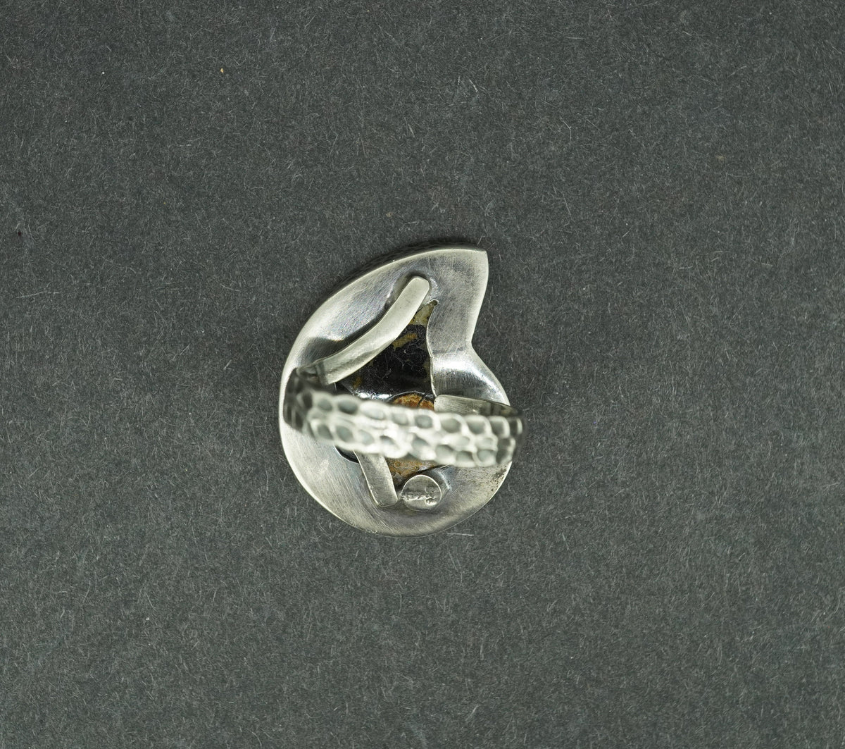 Haematite Ammonite Sterling Silver Ring