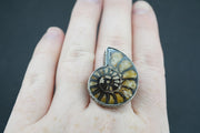 Haematite Ammonite Sterling Silver Ring