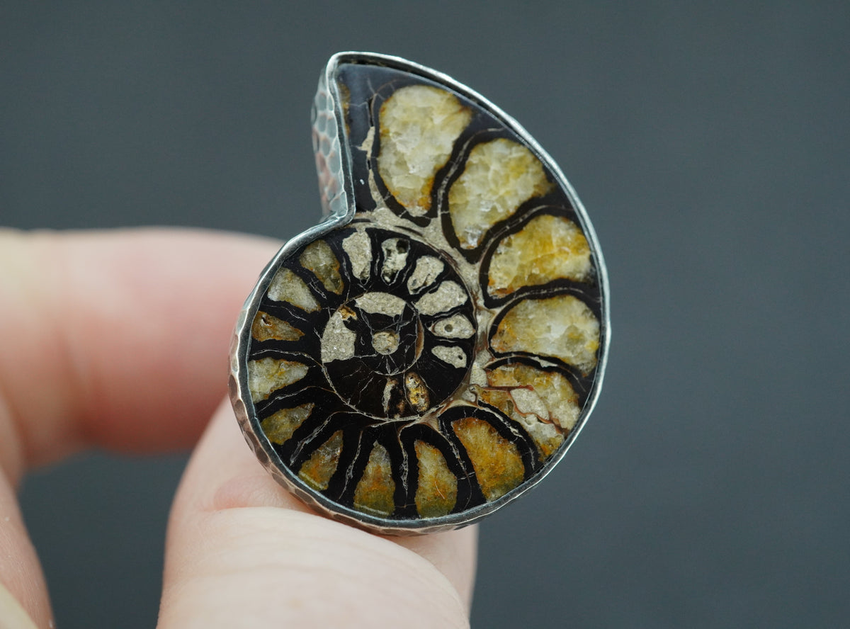 Haematite Ammonite Sterling Silver Ring