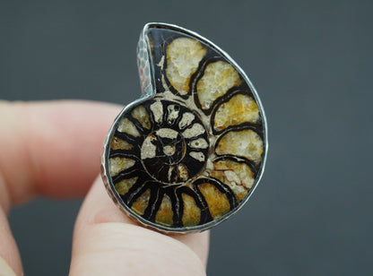 Haematite Ammonite Sterling Silver Ring