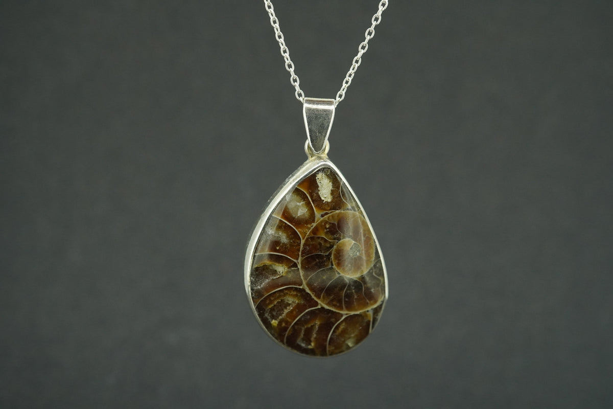 Ammonite Sterling Silver Pendant
