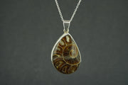 Ammonite Sterling Silver Pendant