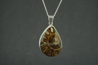 Ammonite Sterling Silver Drop Pendant