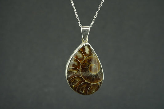 Ammonite Sterling Silver Drop Pendant
