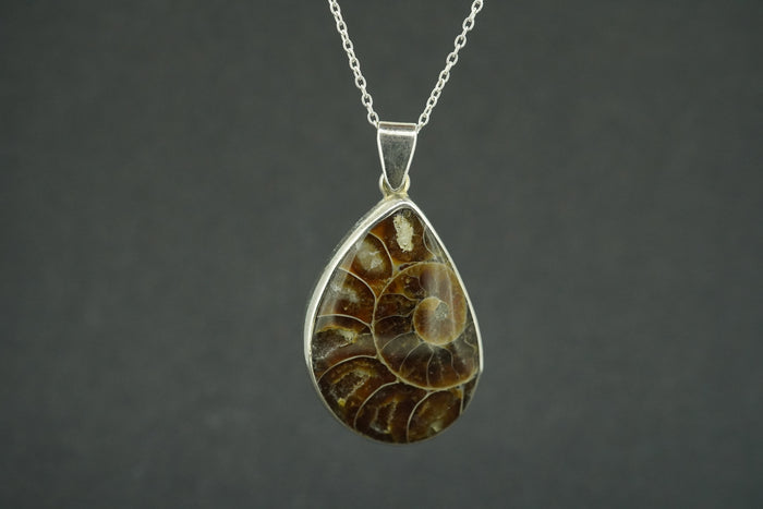 Ammonite Sterling Silver Drop Pendant