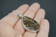 Ammonite Sterling Silver Pendant